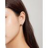 SCE1085 (6)