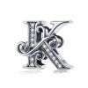 BSC030 K (2)